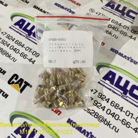 Продажа Лубрикатор/пресс-Масленка/тавотница  M10*1 07020-01021