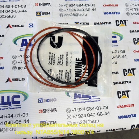 Продажа Комплект уплотнительных колец на гильзу  NTA855/N14 3800174
