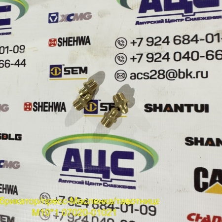 Продажа Лубрикатор/пресс-Масленка/тавотница  M10*1 07020-01021